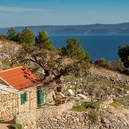 Robinson House Galisnjak